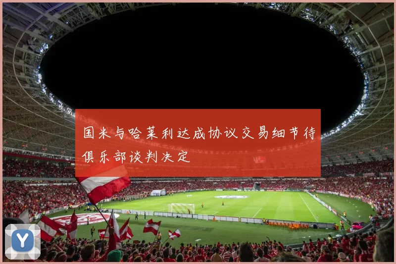 国米与哈莱利达成协议交易细节待俱乐部谈判决定