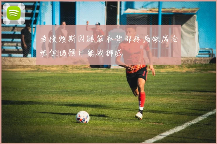 劳模赖斯因腿筋和背部疼痛缺席合练但仍预计能战挪威